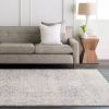 3' x 5' Distressed Oriental Area Rug in Light Grey / Beige