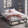 Full size 10-inch Low Profile Modern Metal Wood Slat Platform Bed Frame