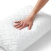 Set of 2 - Shredded Memory Foam Bed Pillows with 2 Pillowcases - Queen size