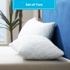 Set of 2 - Shredded Memory Foam Bed Pillows with 2 Pillowcases - Queen size