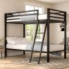 Twin over Twin Modern Metal Bunk Bed Frame in Black Finish with Ladder